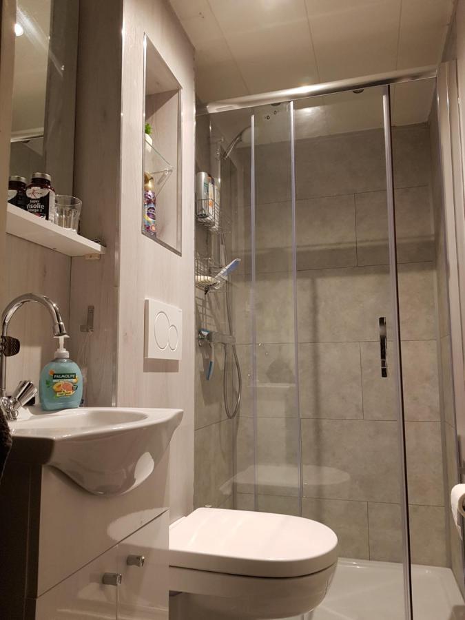 Chalet 2 Pers Met Hottub - Aan De Bosrand - Ijsselmeer - Gaasterland - Bos Rijs Exterior photo